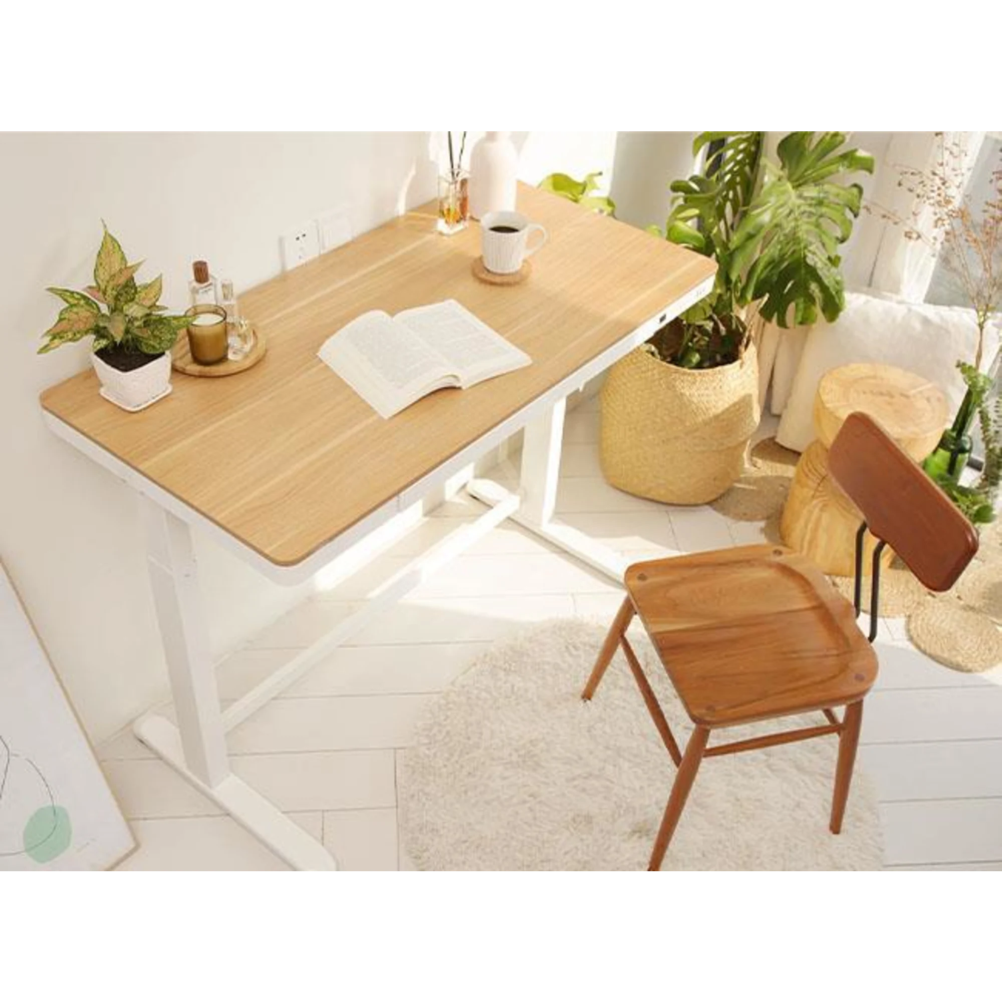 Loctek Et118 All-in-One Standing Desk, With 2 USB-A + 1 USB-C Charging Port, Pull-out Drawer, 120x60cm, Natural Wood & White