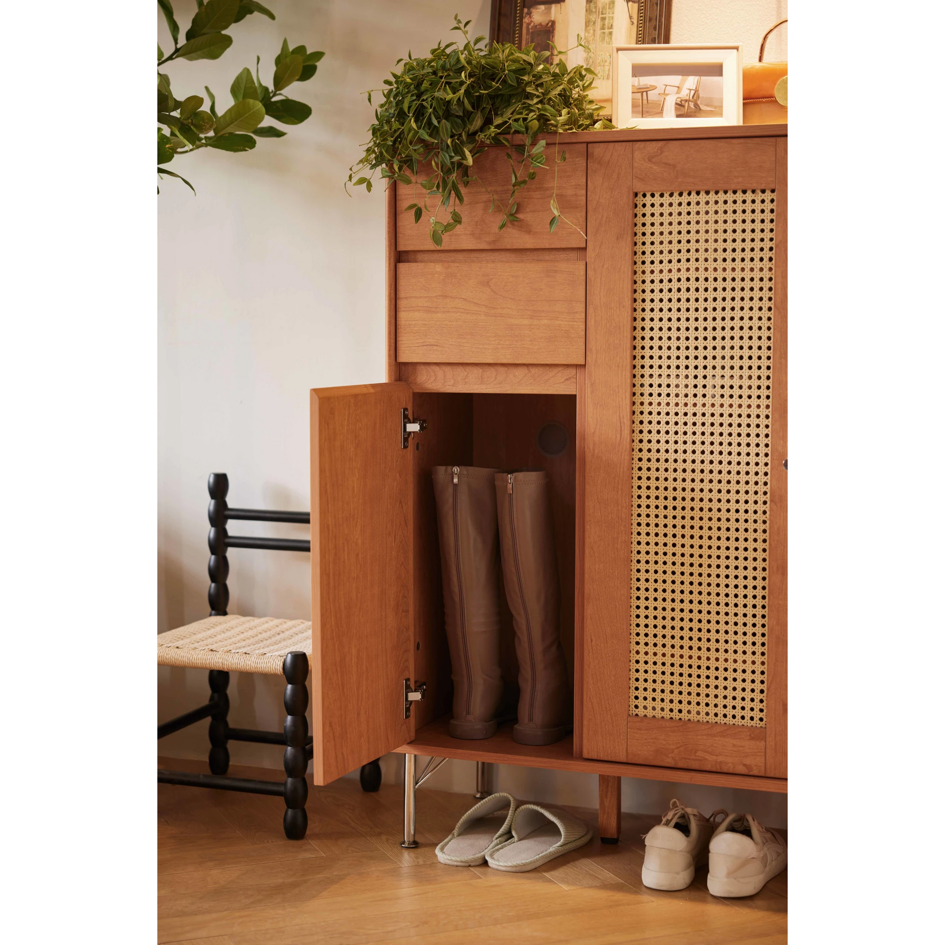 Linspire Verve Shoe Cabinet