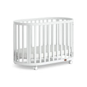 Boori Eden Kids Oval Cot V22 - Beech Wood, Barley White
