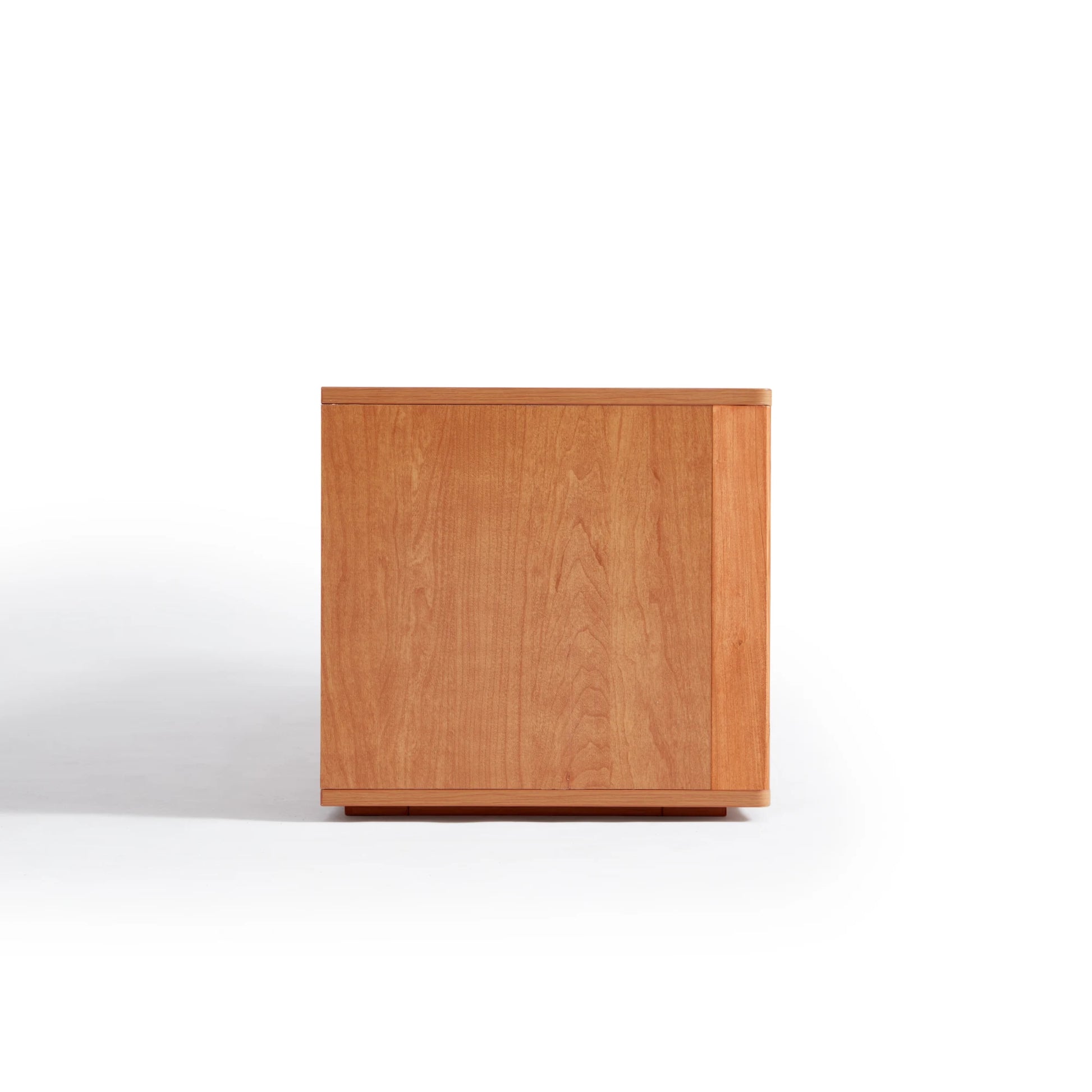Linspire Railan Entertainment Unit