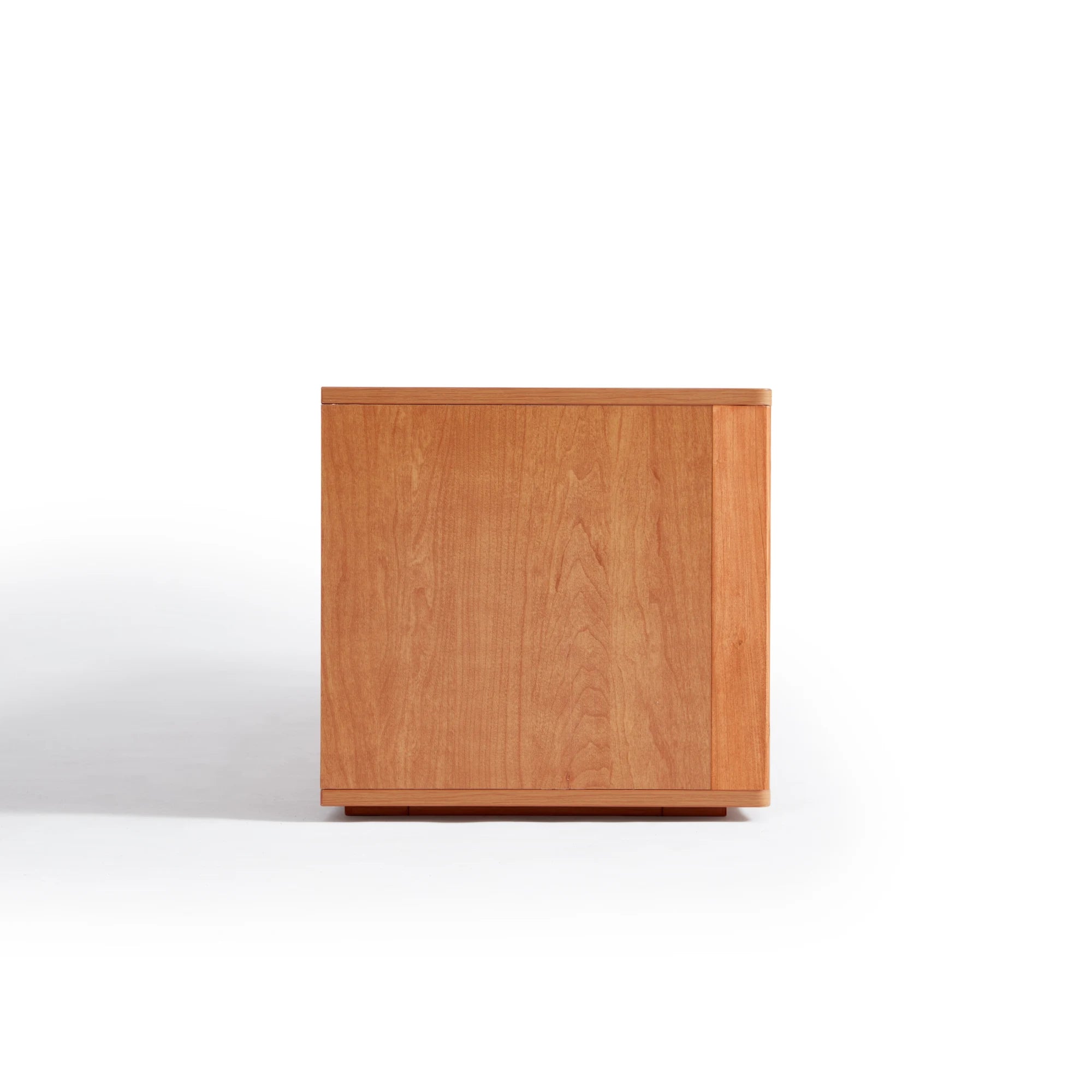 Linspire Railan Entertainment Unit