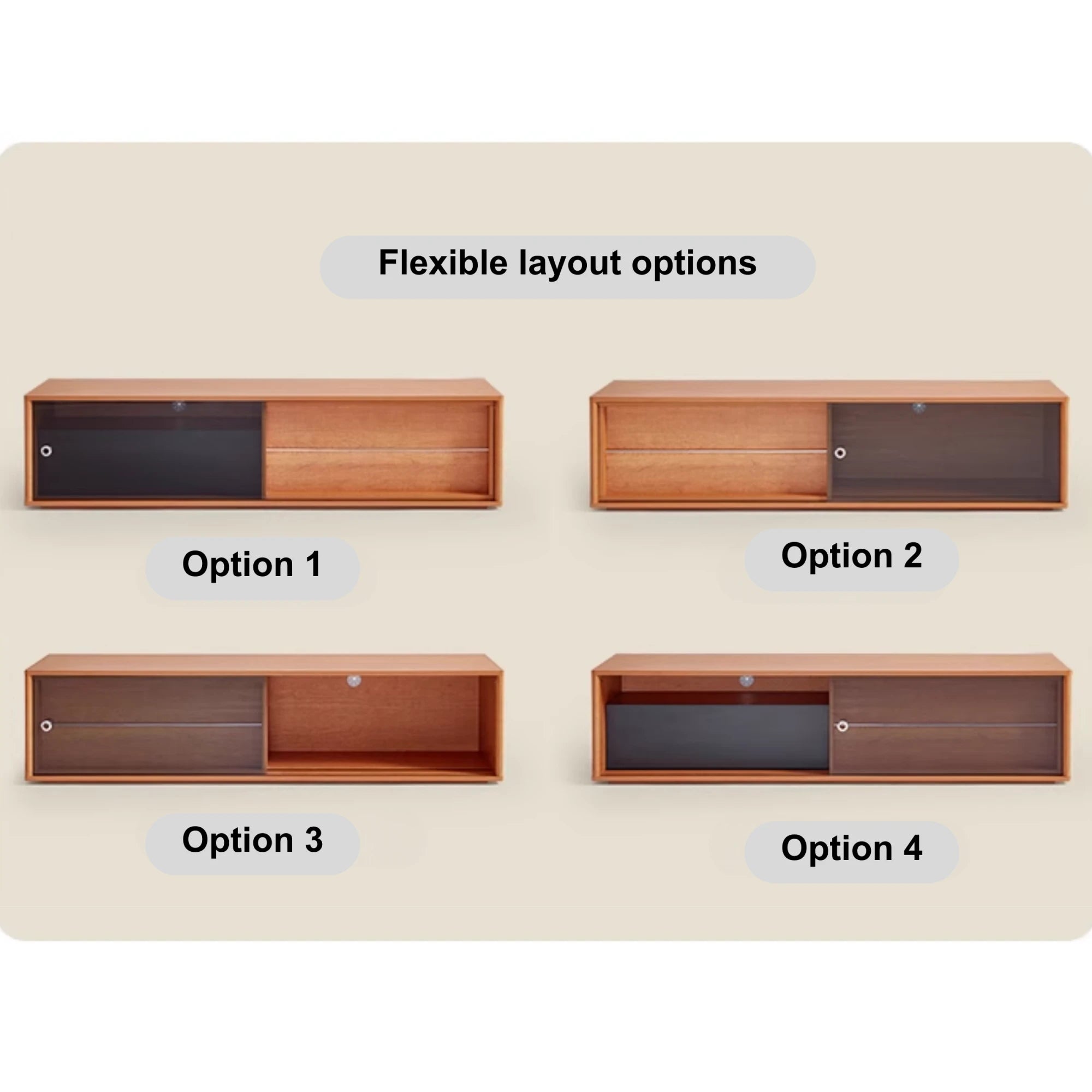 Linspire Railan Entertainment Unit