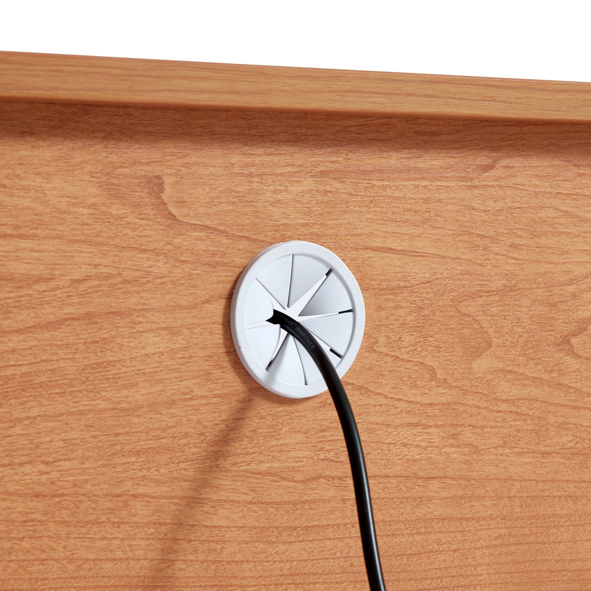 Linspire Railan Entertainment Unit