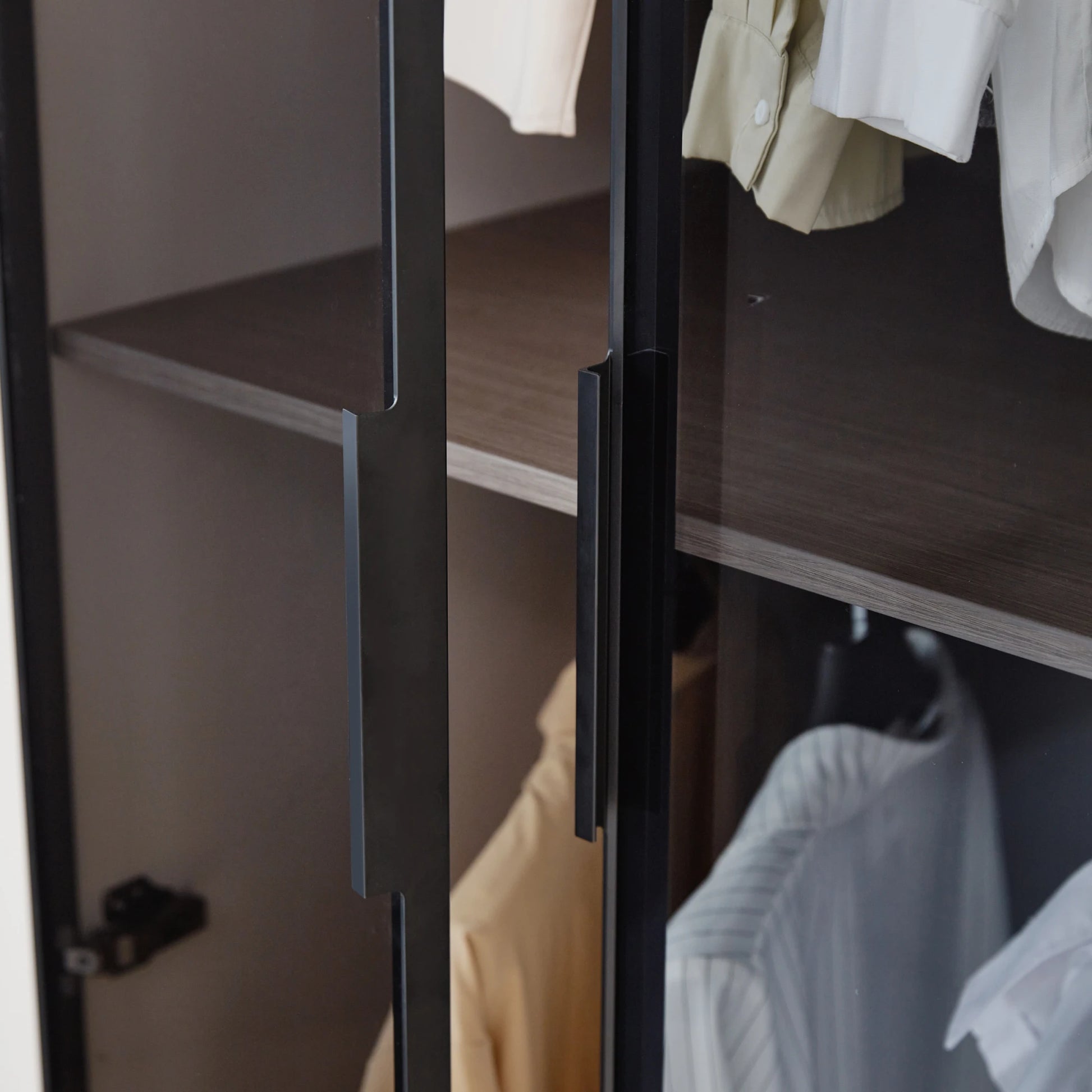 Linspire Vanko 2-Door Wardrobe with Glass Doors