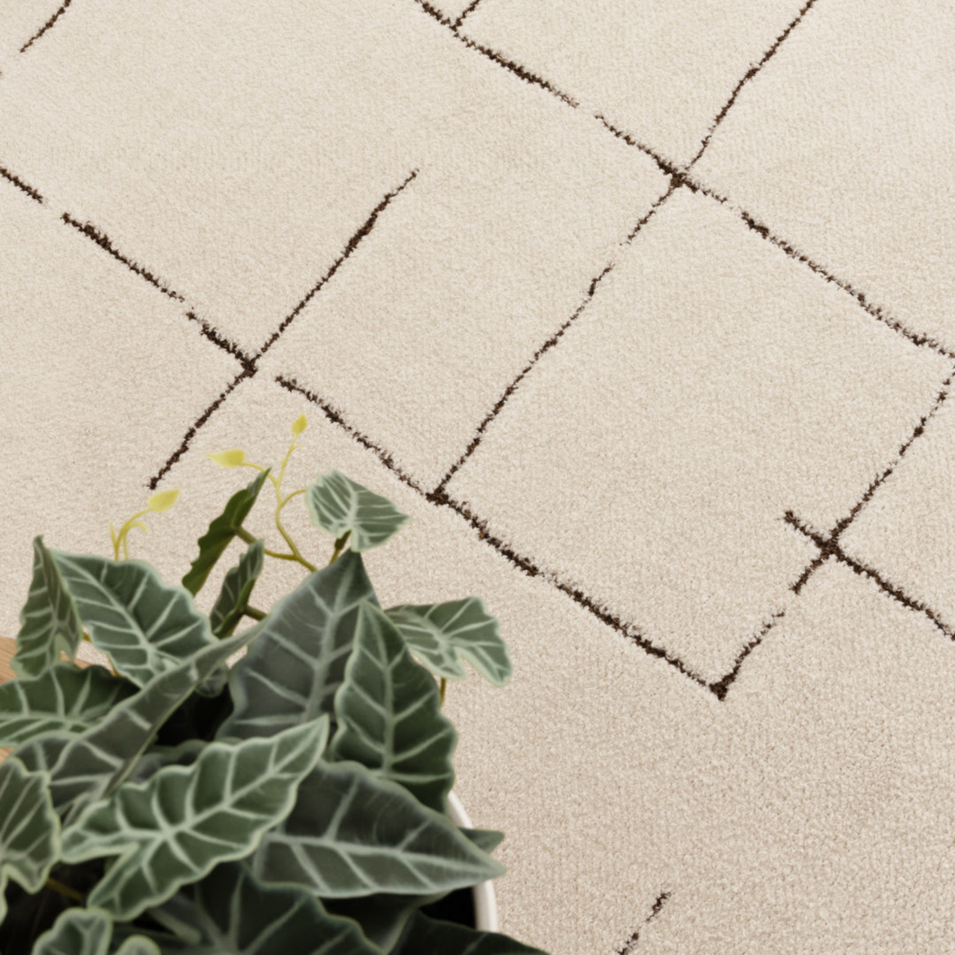 DreamWeaver Lila Abstract Lines Rug, Brown Cream