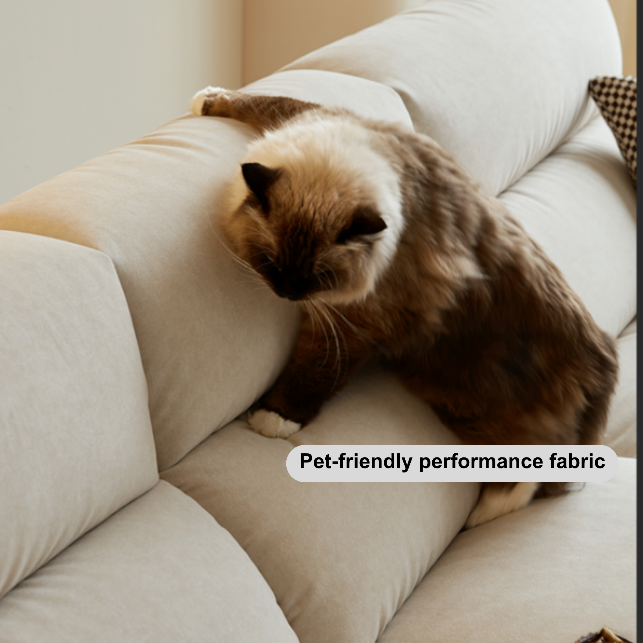 Linspire Serenity 4-Seater Sofa, Pet-Friendly