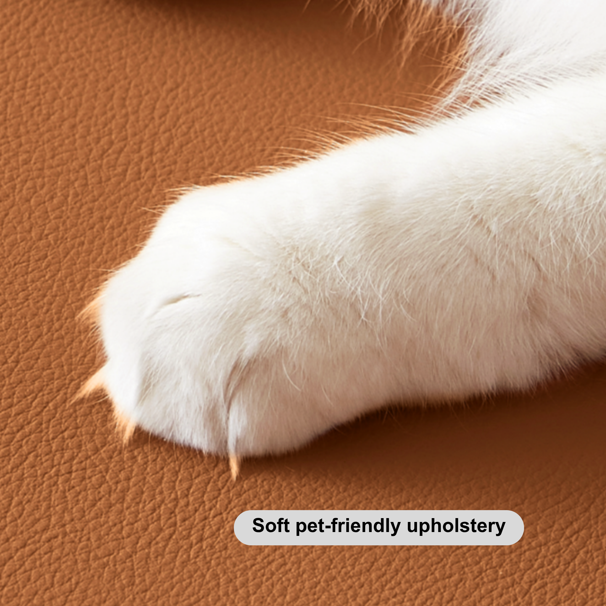 Linspire Noble Office Chair, Pet-Friendly