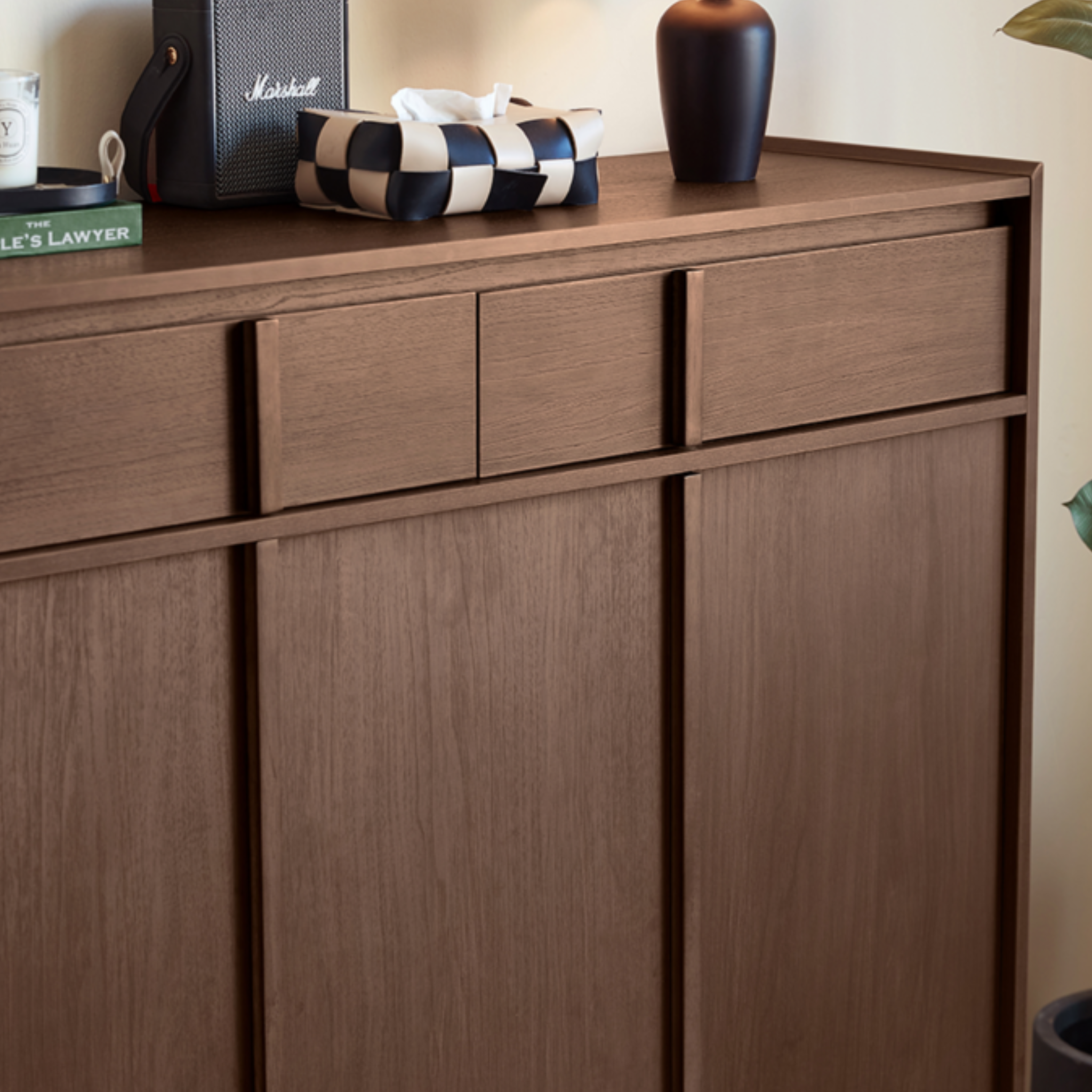Linspire Nook Shoe Cabinet