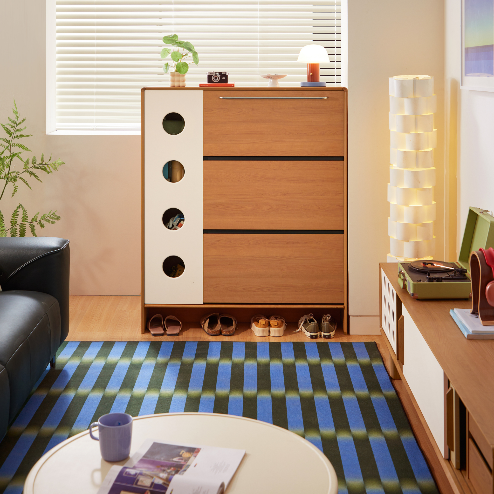 Linspire Sloane Flip-Down Shoe Cabinet