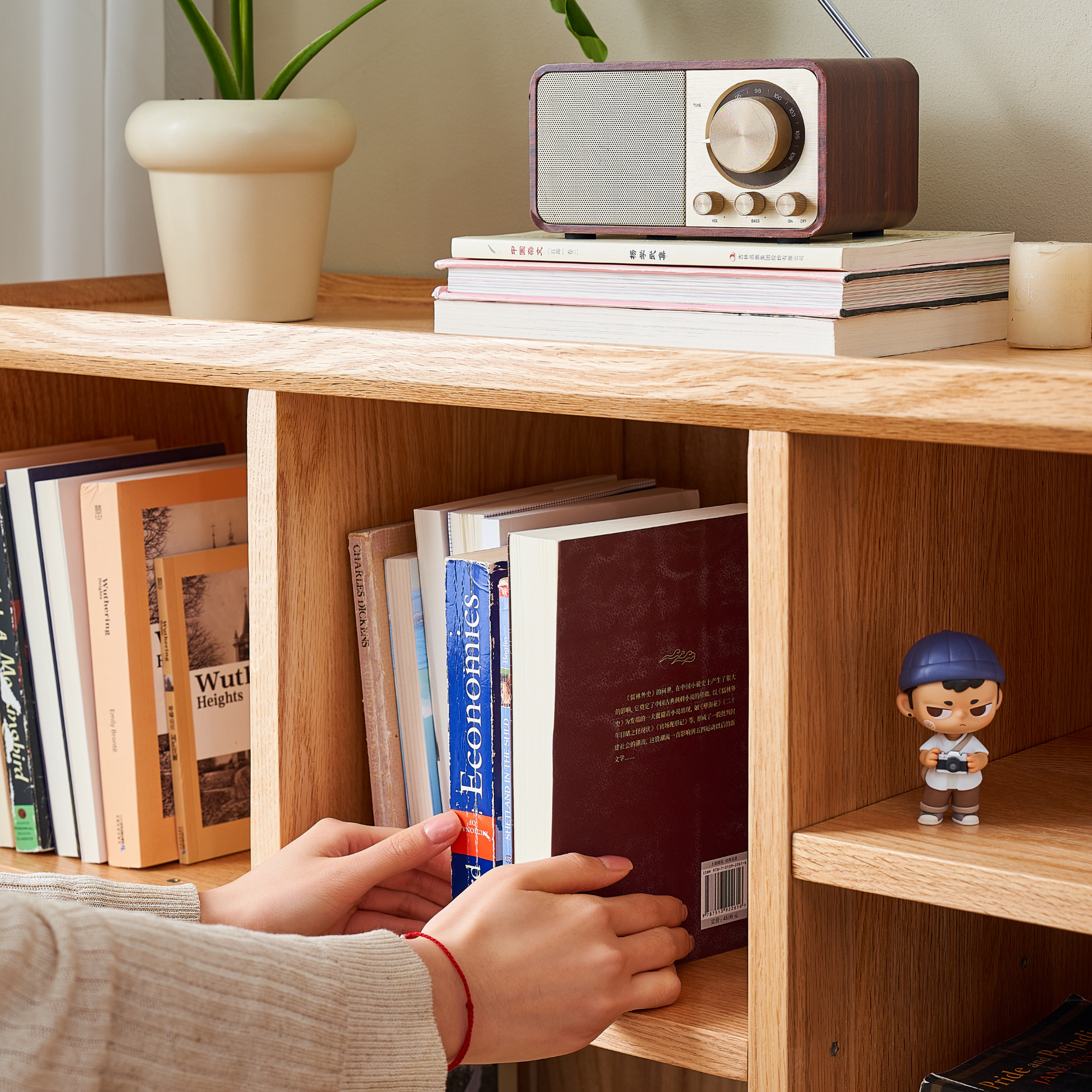 Solidwood Amber 8-Cube Bookcase with Adjustable Shelves, Oak