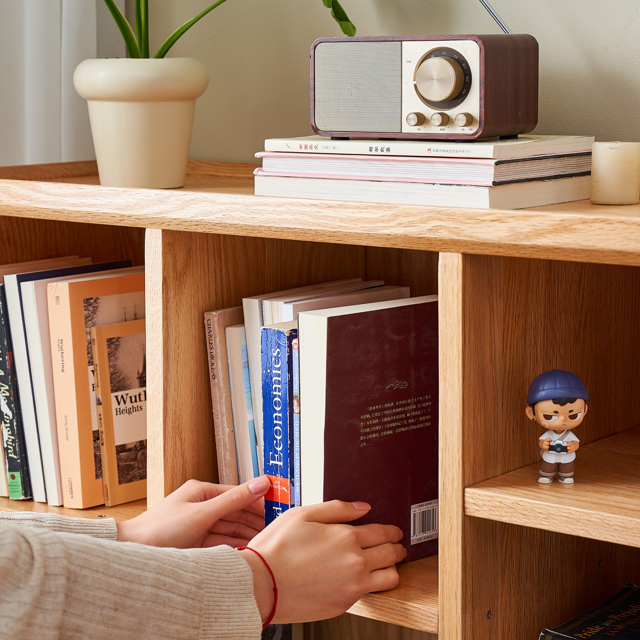 Solidwood Amber 8-Cube Bookcase with Adjustable Shelves, Oak