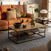 Hjem Design Ginley Rectangular Coffee Table