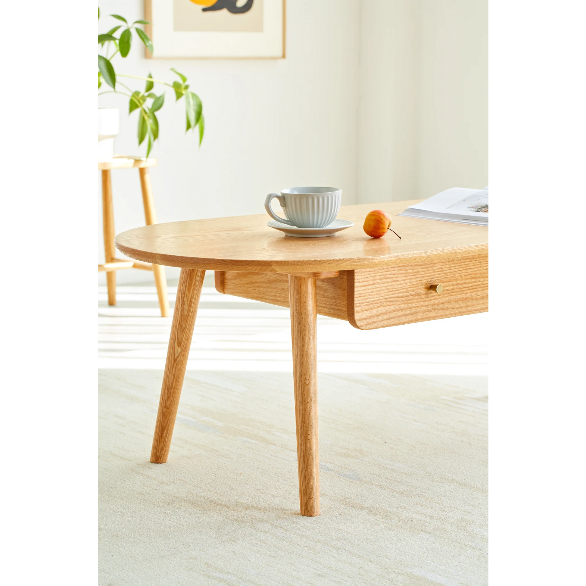 Solidwood Santa Rosa Coffee Table with 2 Drawers