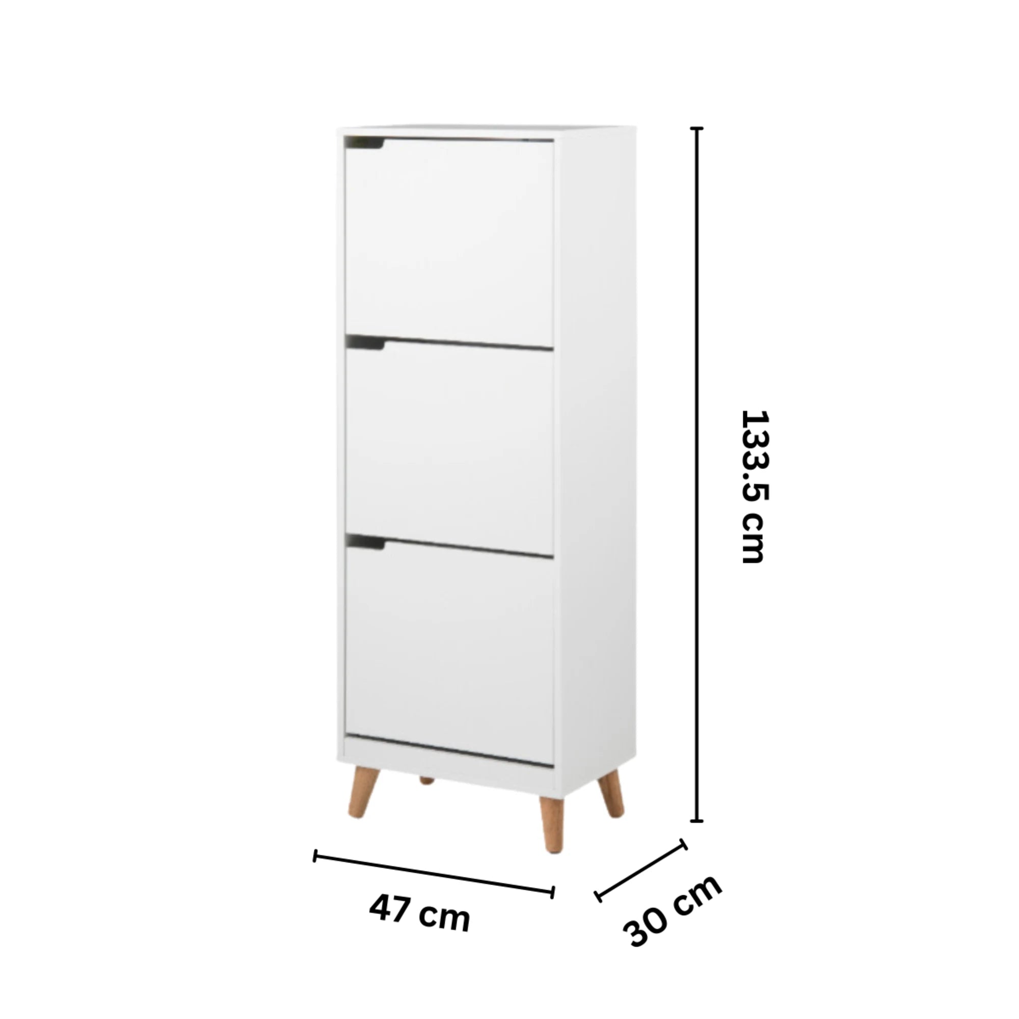 Hjem Design Mitra Shoe Cabinet