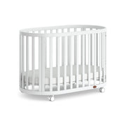 Boori Eden Kids Oval Cot V22 - Beech Wood, Barley White