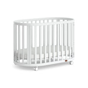 Boori Eden Kids Oval Cot V22 - Beech Wood, Barley White