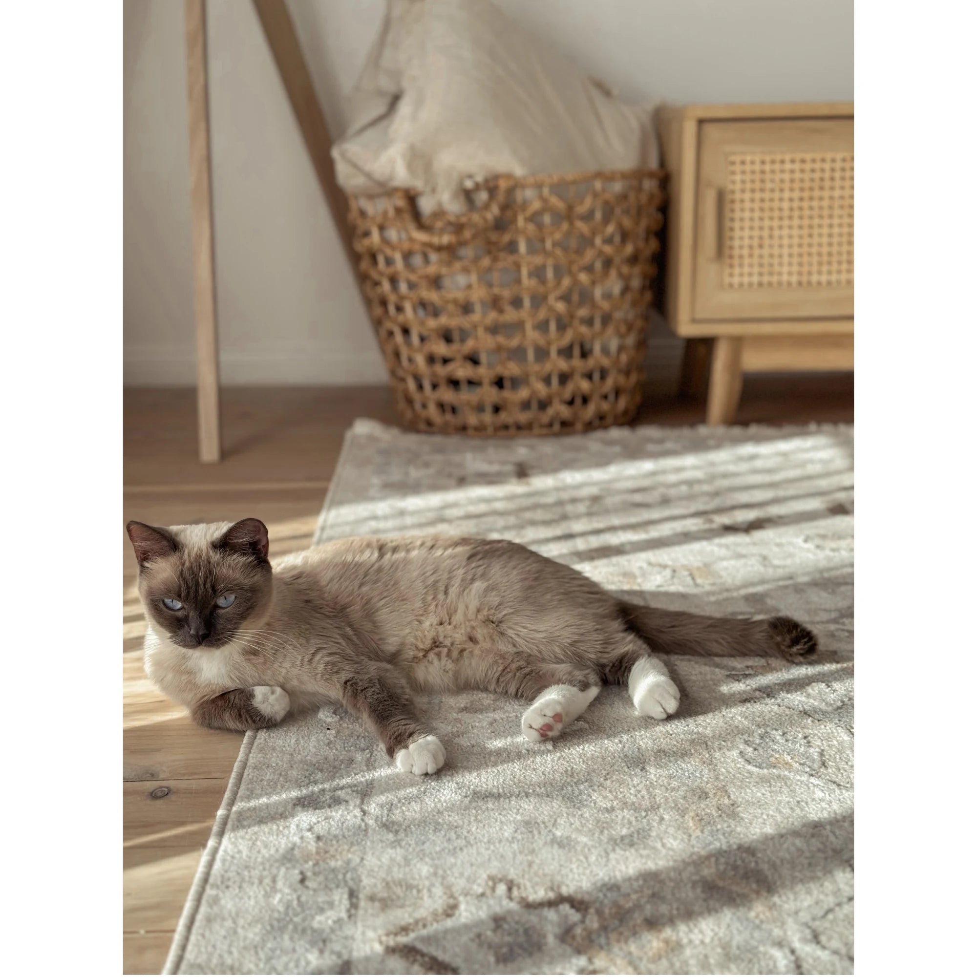 Wild Yarn Seasons Vintage Mauritius Rug, Beige