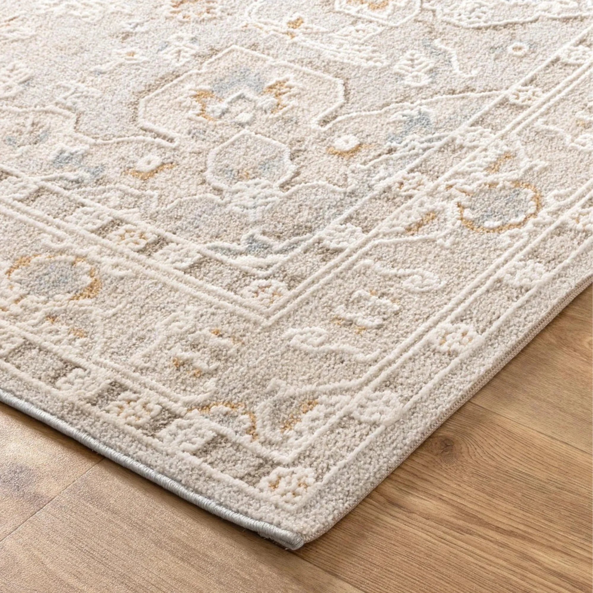 DreamWeaver Trend Medallion Transitional Rug, Beige Multi