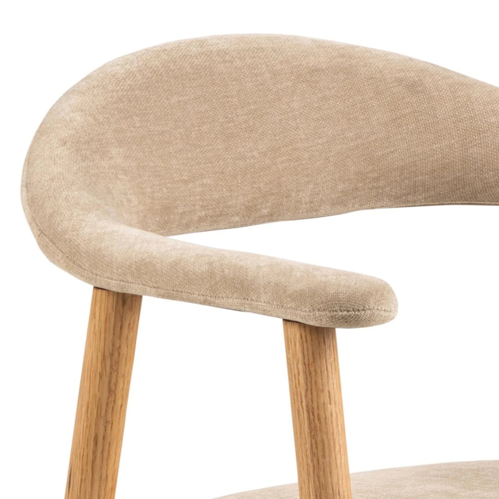 Hjem Design Addi Dining Chair with Armrest, Set of 2