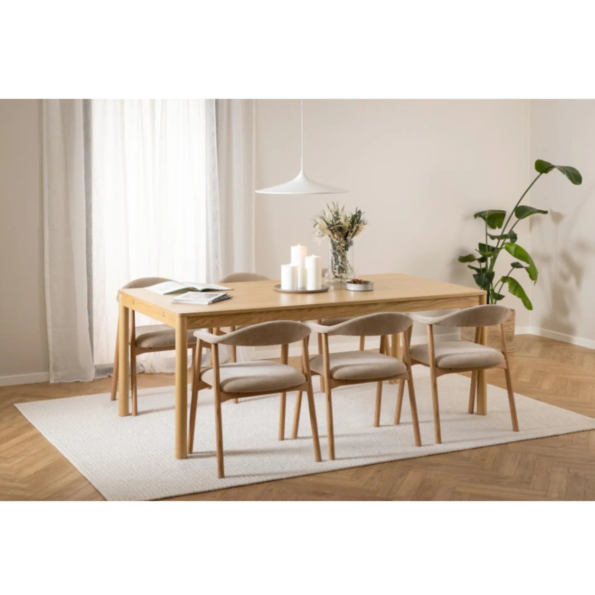 Hjem Design Addi Dining Chair with Armrest, Set of 2