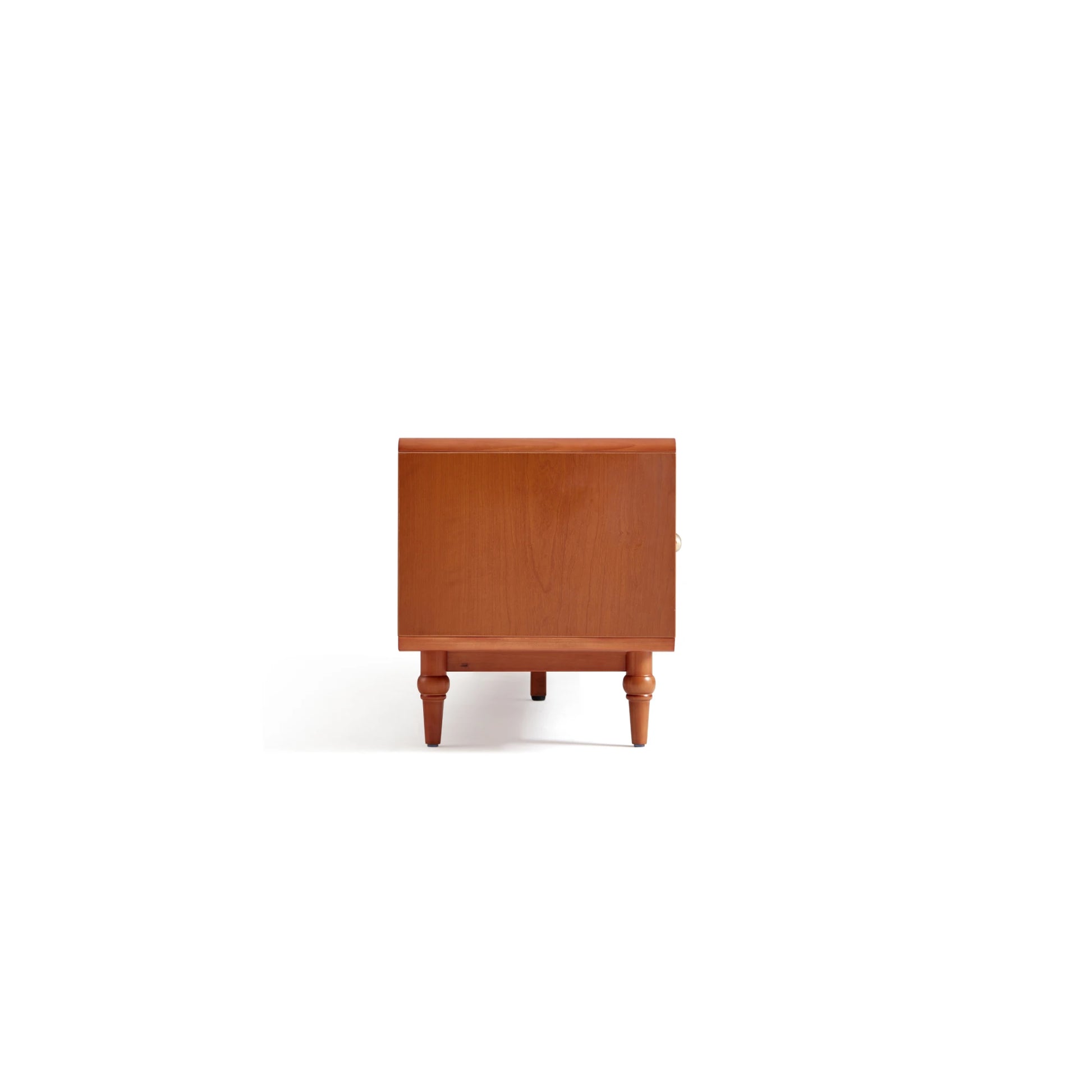 Linspire Gaenor Entertainment Unit