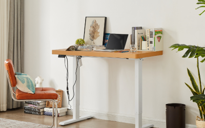 Buying Guide: The Benefits of an Adjustable Standing Desk