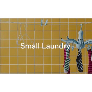 Small Laundry Ideas