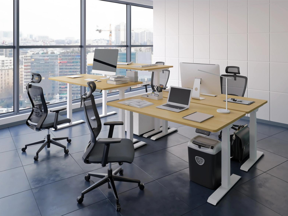 loctek ergonomic standing office desk